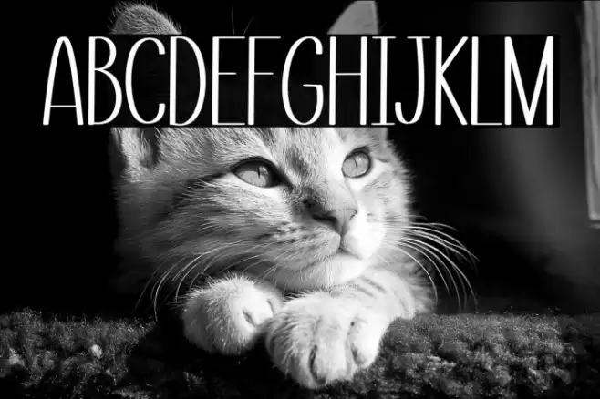 Small Love Font examples