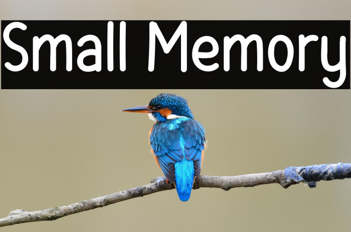 Small Memory Example 1