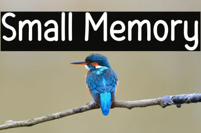 Small Memory Example 1