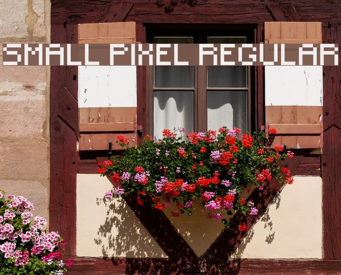 Small Pixel Regular Font examples