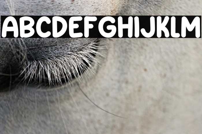 Small Print Example 2