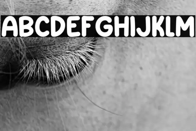 Small Print Font examples