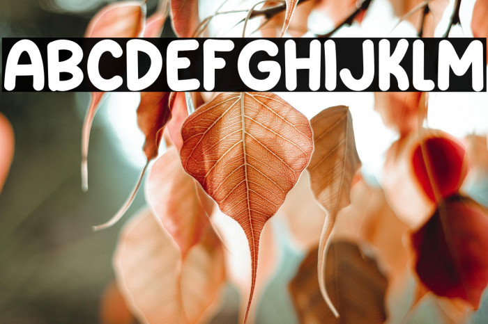 Small Print Example 3