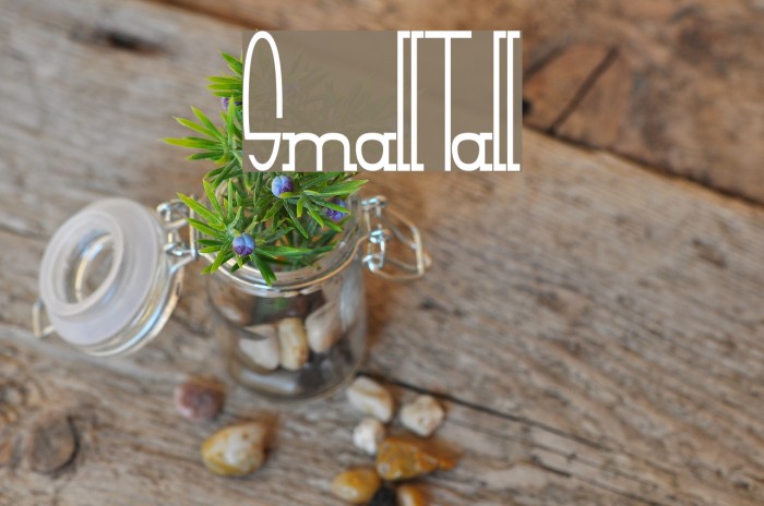 SmallTall Font examples