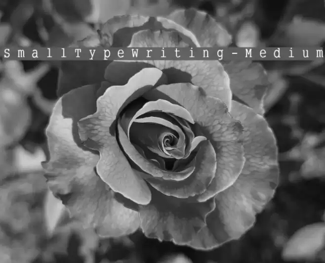 SmallTypeWriting-Medium Font examples