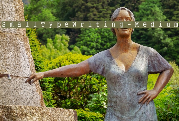 SmallTypeWriting-Medium Font examples