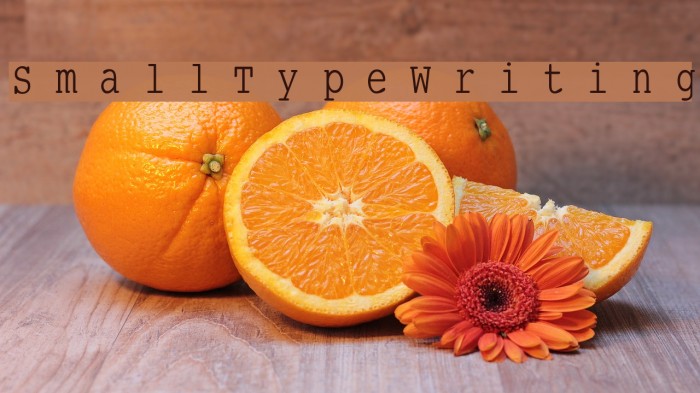 SmallTypeWriting Schriftart examples