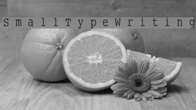 SmallTypeWriting Schriftart examples