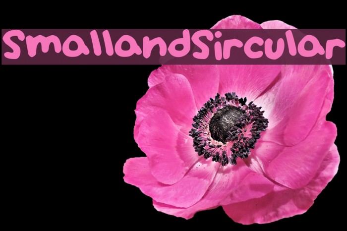 SmallandSircular Font examples