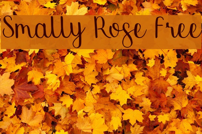 Smally Rose Free Font examples