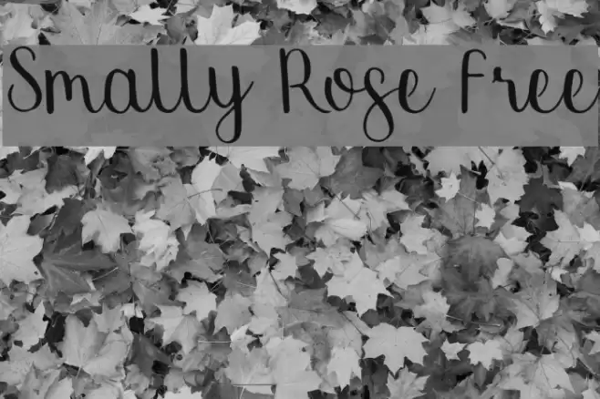 Smally Rose Free Polices examples