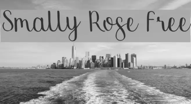 Smally Rose Free Polices examples