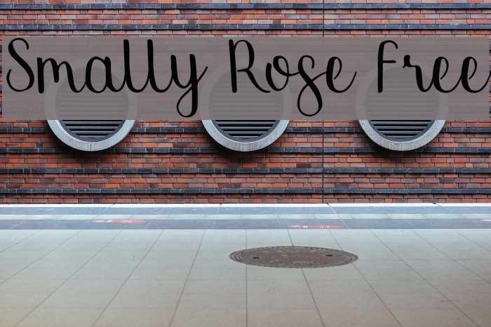 Smally Rose Free Font examples