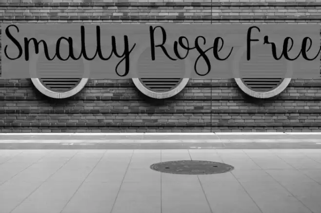 Smally Rose Free Polices examples