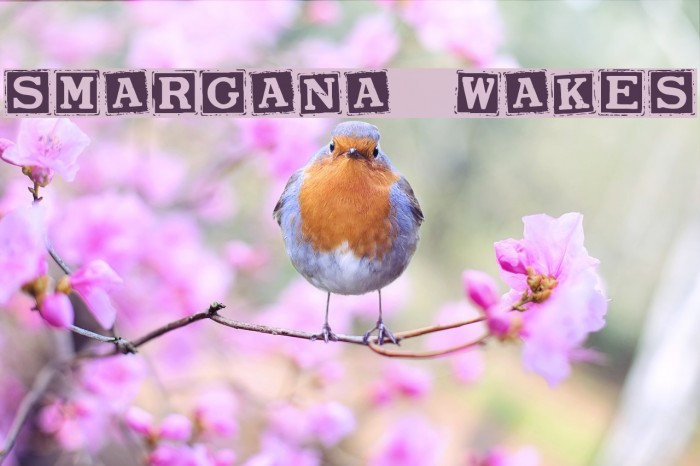 Smargana Wakes Font examples