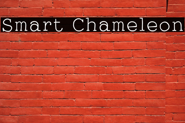 Smart Chameleon Example 1