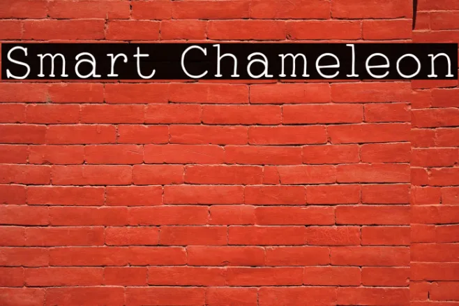 Smart Chameleon Example 1