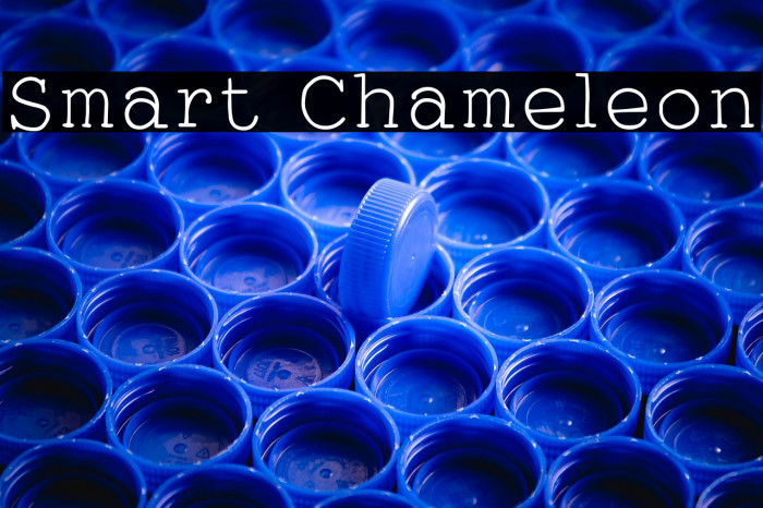 Smart Chameleon Example 2