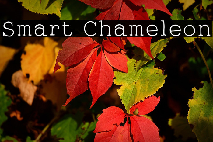 Smart Chameleon Example 3