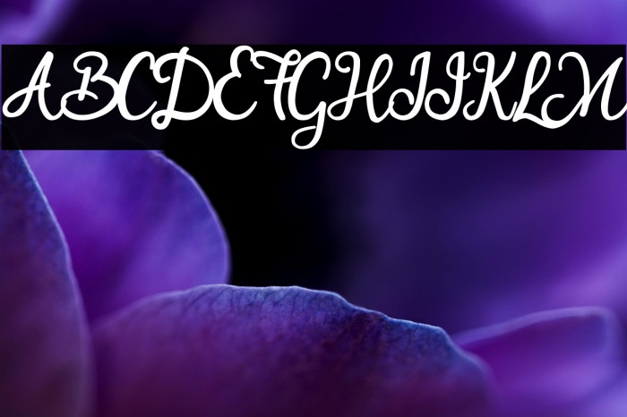 Smart Cherie Example 3