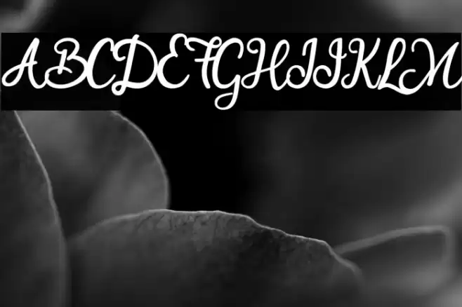 Smart Cherie Font examples