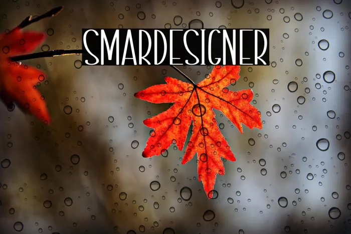 Smart Designer Example 1