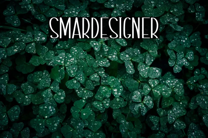 Smart Designer Example 2