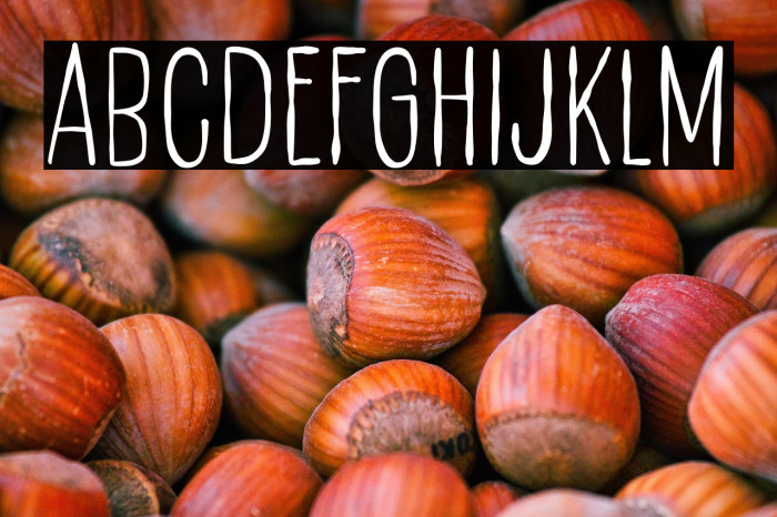 Smart Duck Example 2