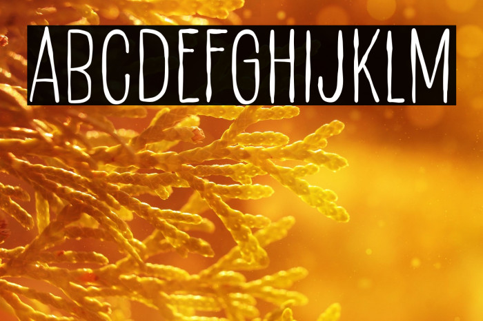 Smart Duck Example 3