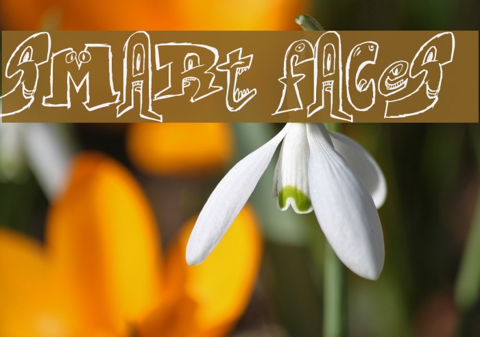 Smart Faces Font examples
