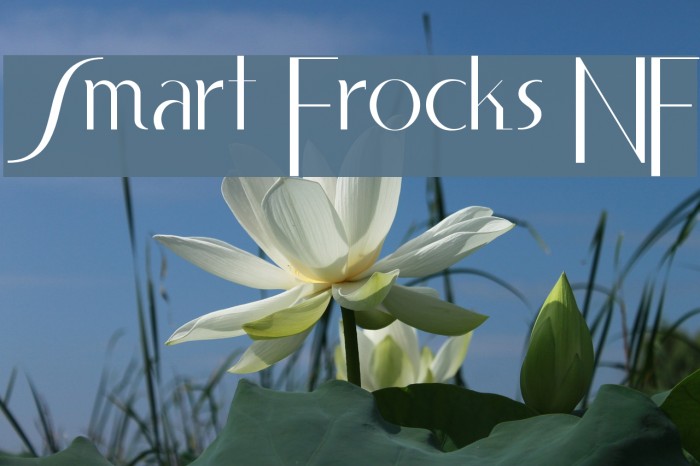 Smart Frocks NF Font examples