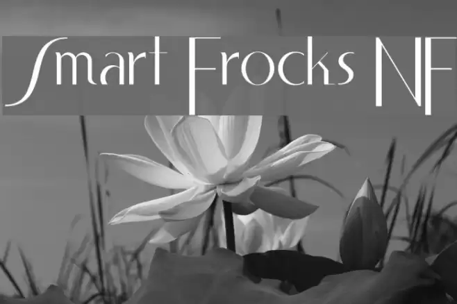 Smart Frocks NF خط examples