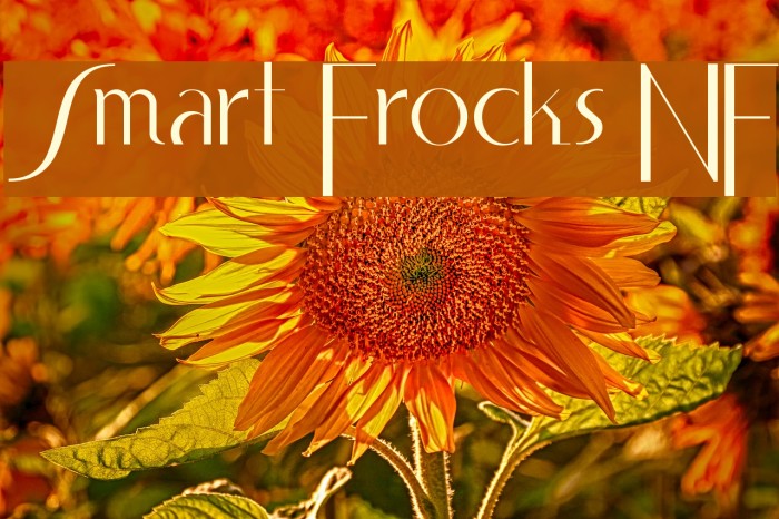 Smart Frocks NF Font examples