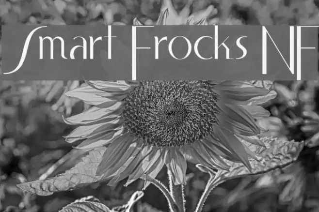 Smart Frocks NF خط examples