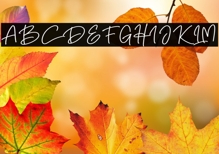 Smart Hallen Example 2