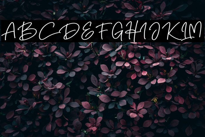 Smart Hallen Example 3