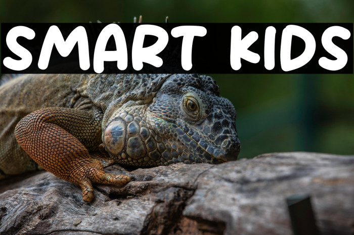 Smart Kids Example 1