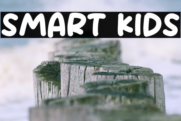 Smart Kids Example 3