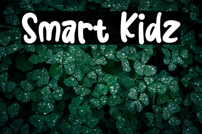 Smart Kidz Example 3