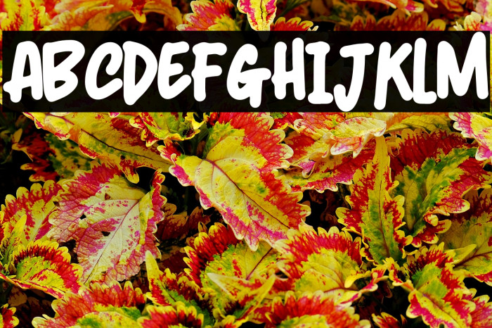 Smart Line Example 2