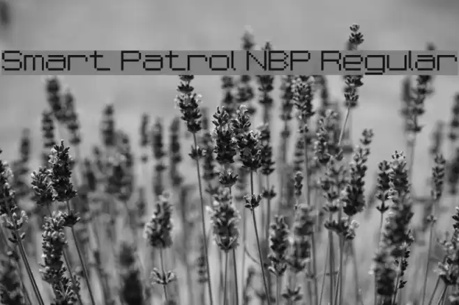 Smart Patrol NBP Regular फ़ॉन्ट examples