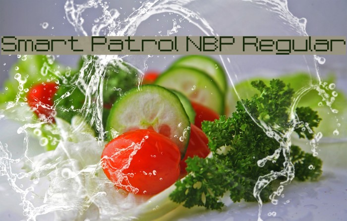 Smart Patrol NBP Regular Font examples