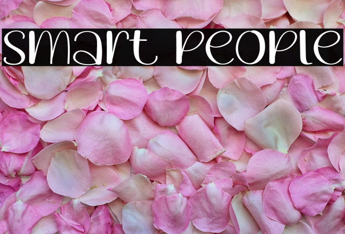 Smart People Example 2