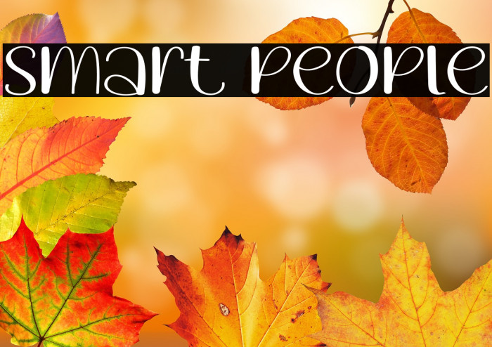 Smart People Example 3