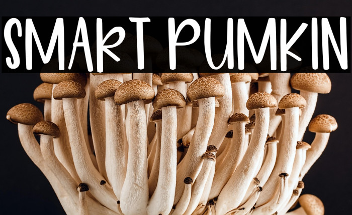 Smart Pumkin Example 2