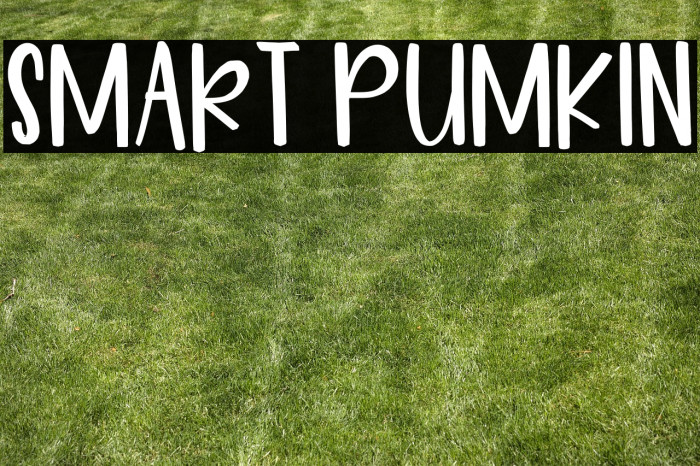 Smart Pumkin Example 3