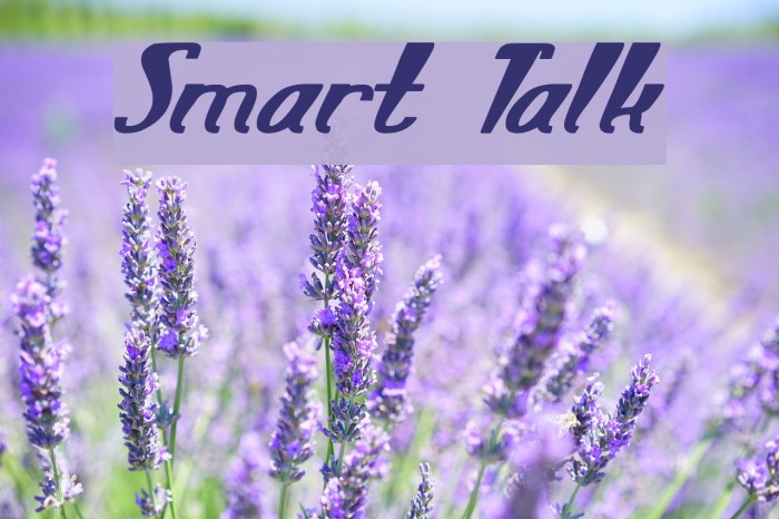 Smart Talk Font examples