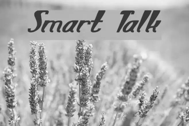 Smart Talk Font examples