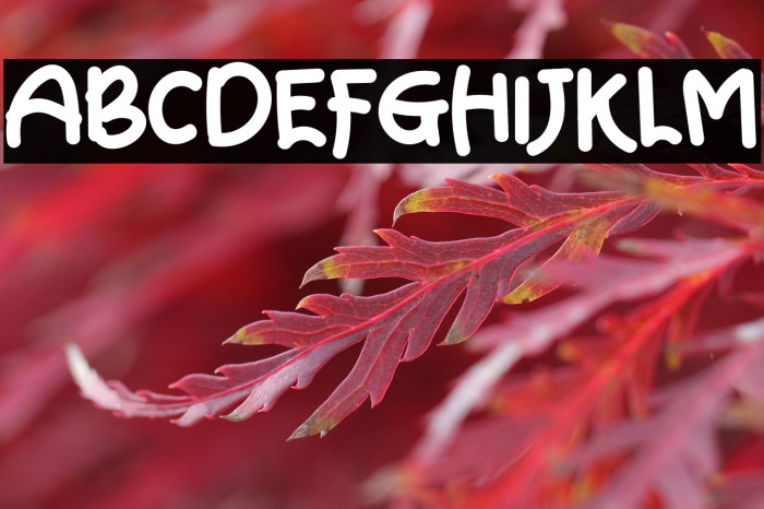 Smart Teacher Example 1