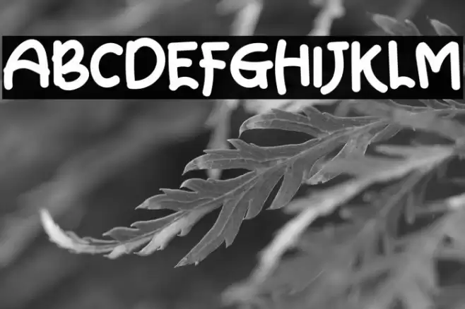 Smart Teacher Font examples